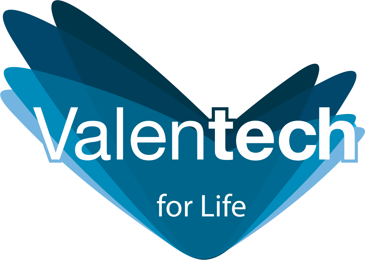 Valentech Academy